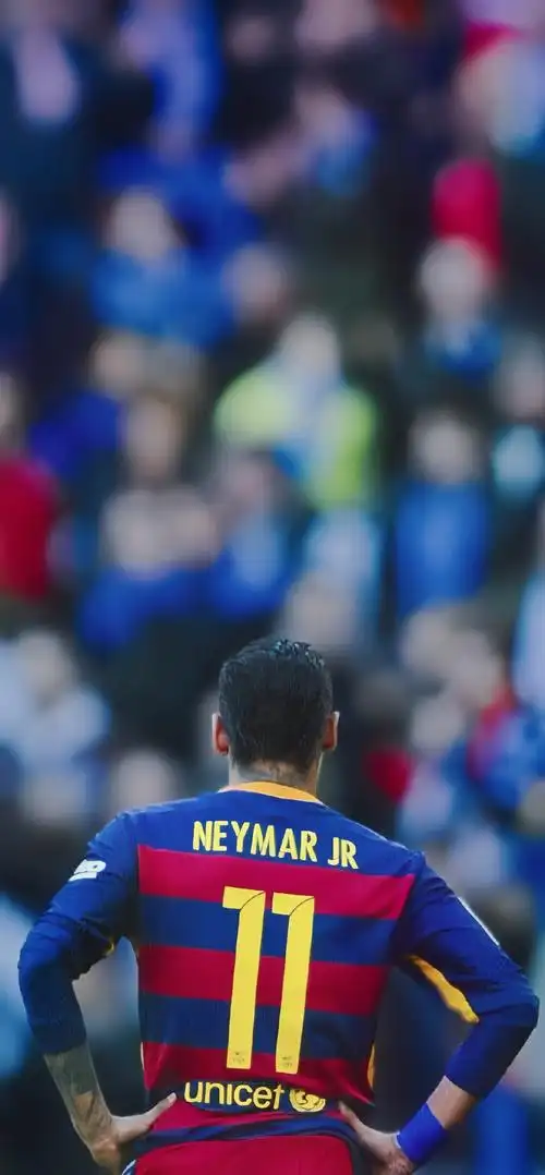 实状况做出 实状况做出